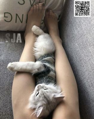 妈妈的朋友14_BD英语手机免费观看完整